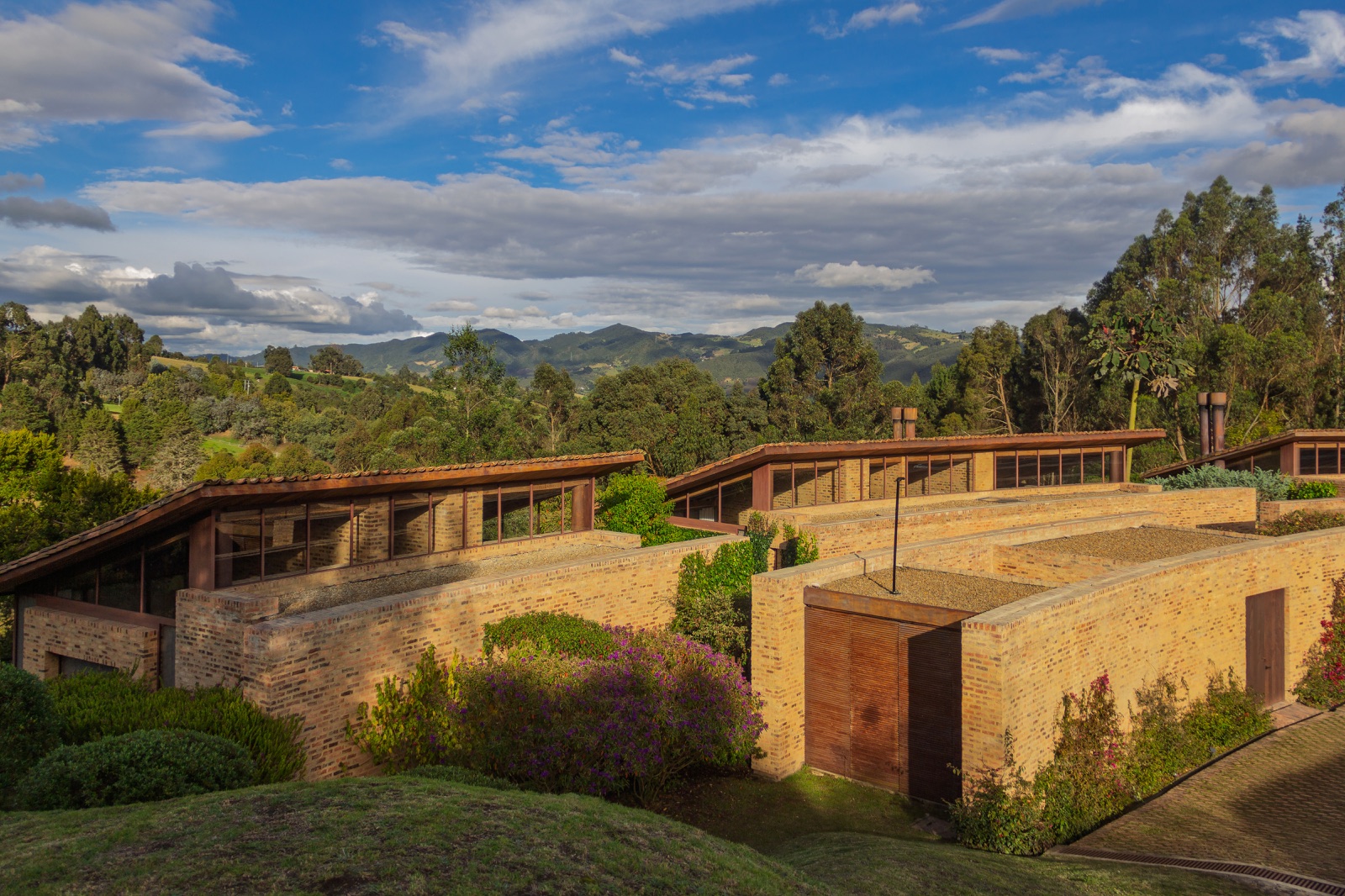Chiribitá — paisajismo de Arbóreo