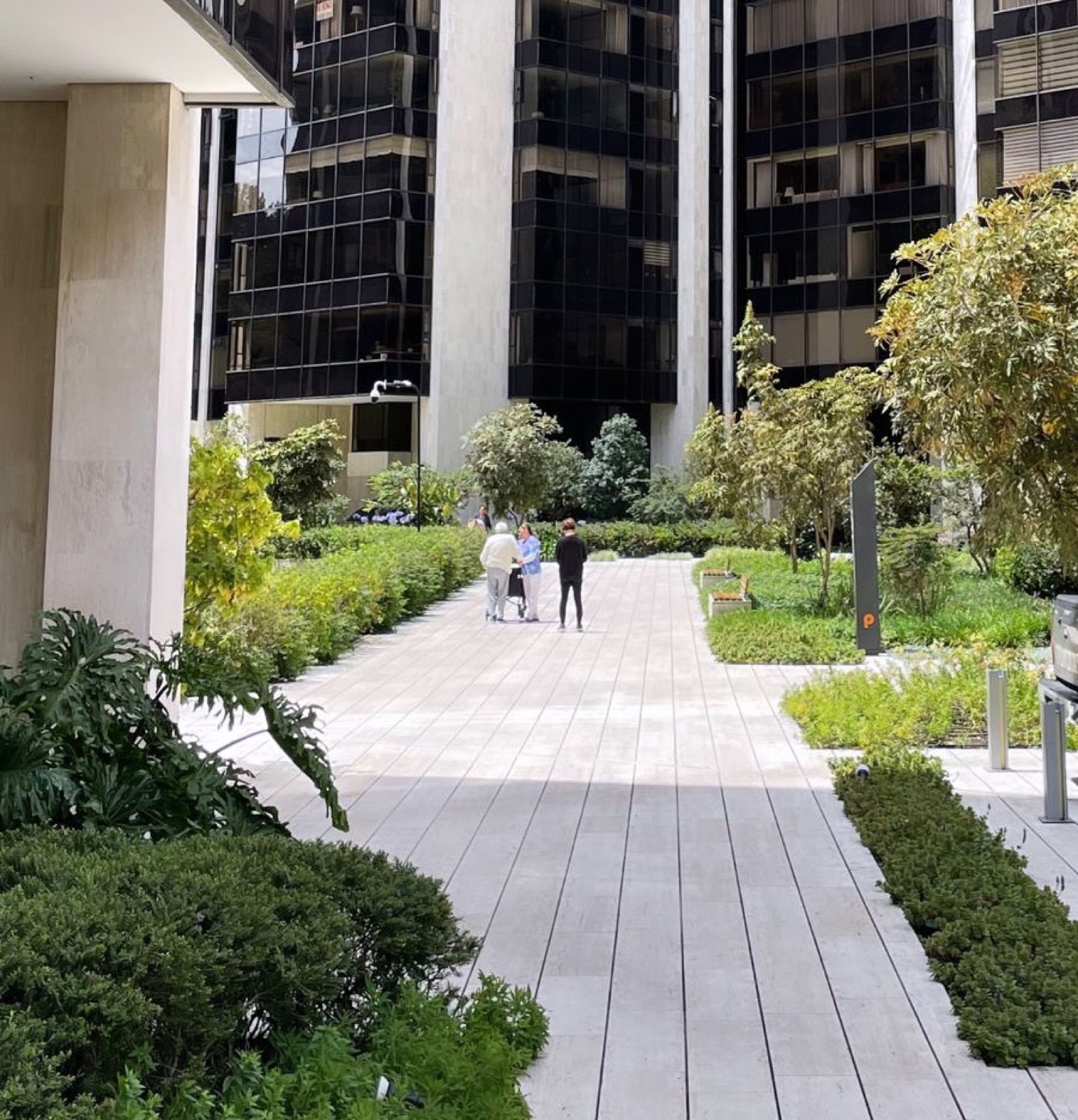 Parque Central — paisajismo de Arbóreo